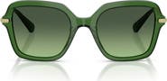 Swarovski 50mm Small Irregular Sunglasses