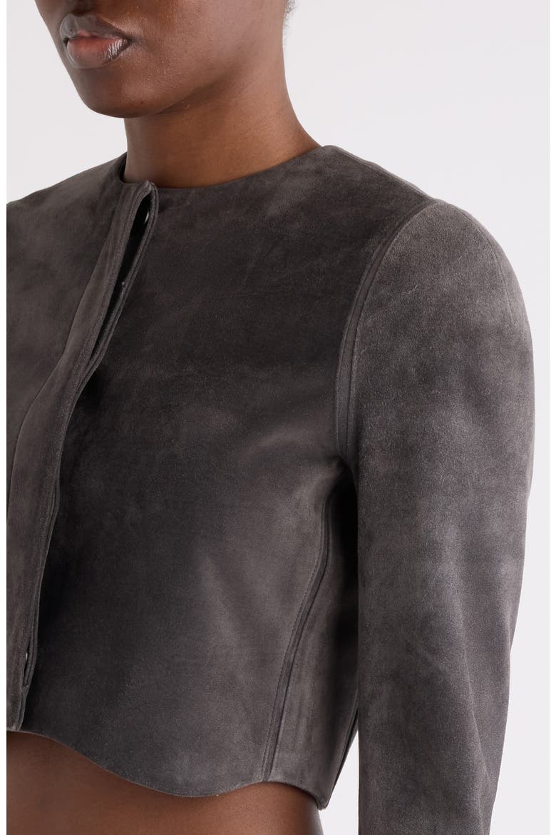 Crop Suede Jacket, Alternate, color, GRIS