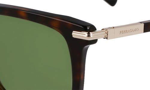 Ferragamo 54mm Modified Rectangular Sunglasses In Dark Tortoise
