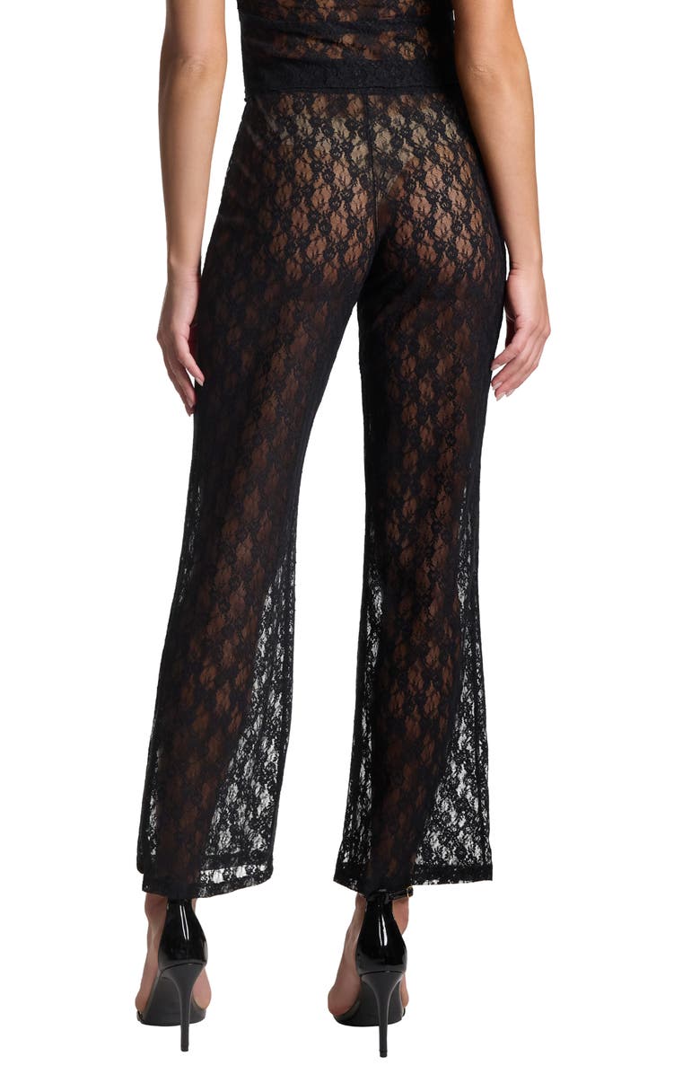 Hanky Panky Alina Sheer Lace Tap Pants, Alternate, color,