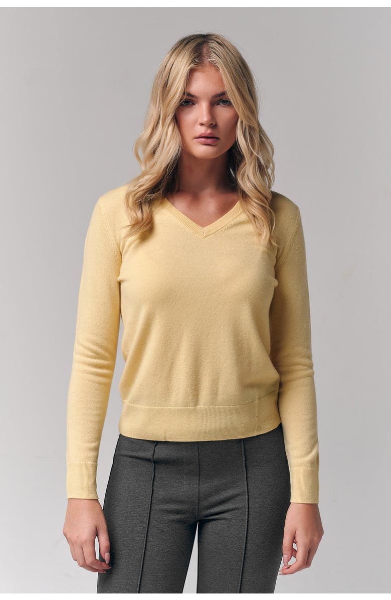 Le Fafo Mongolian Cashmere V-Neck Sweater, Alternate, color, 