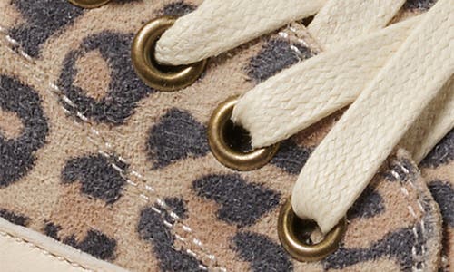 Beek Sanderling Sneaker In Brown