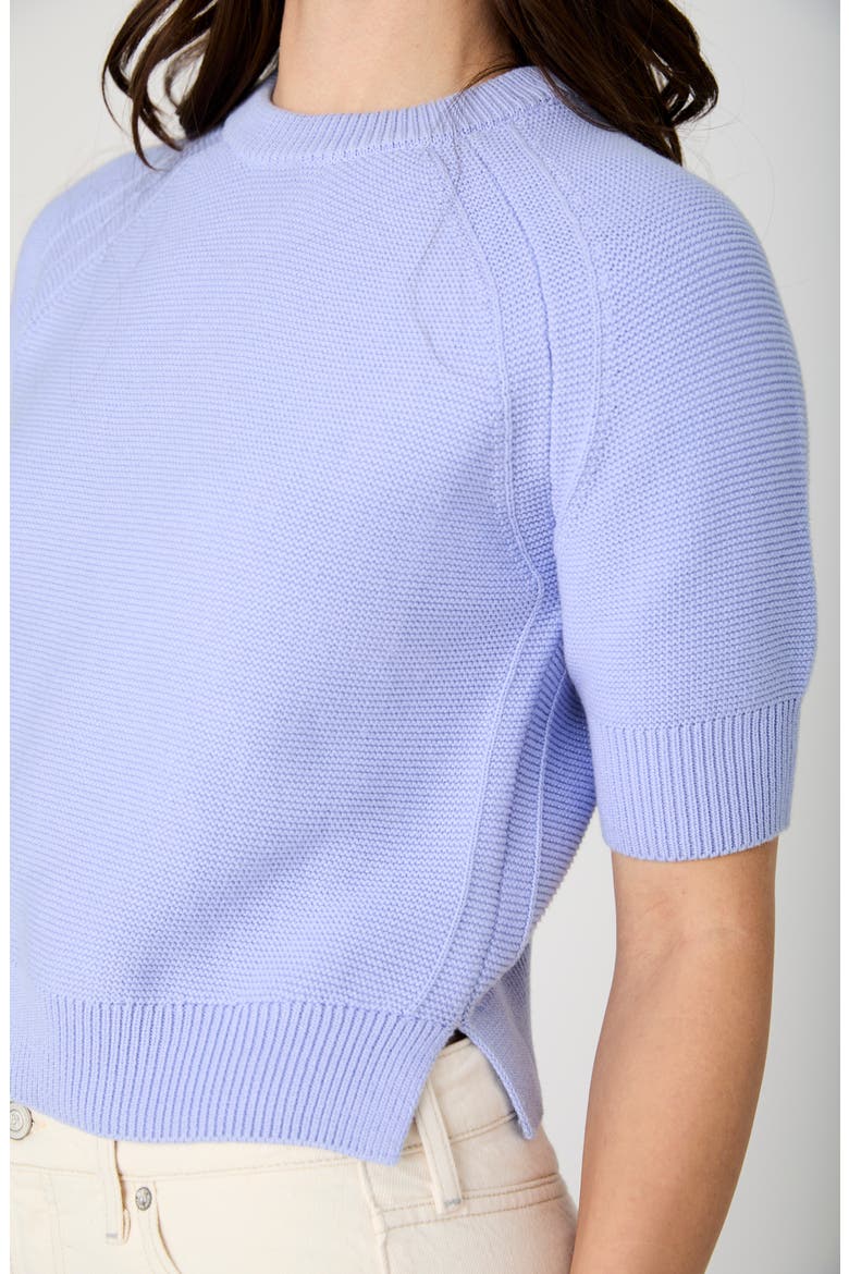 Lily Mozart Short Sleeve Cotton Sweater, Alternate, color, BLUEBELL