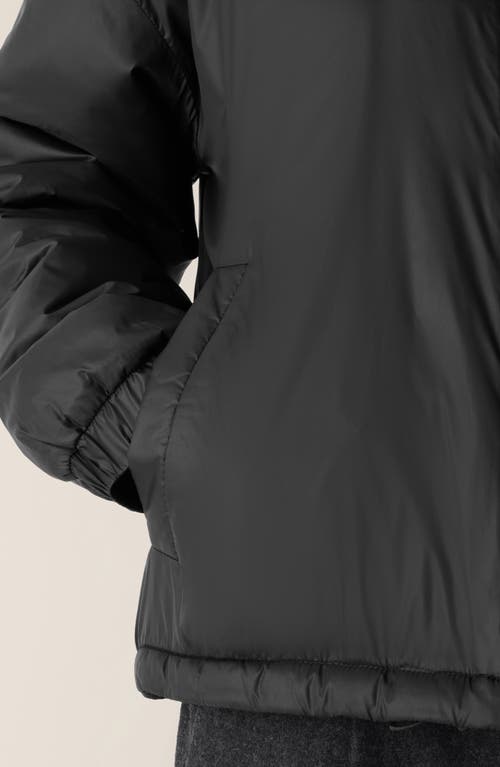 Eileen Fisher Stand Collar Puffer Jacket In Black