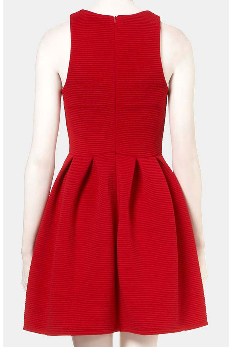 Rib Pleated Skater Dress, Alternate, color, CHERRY