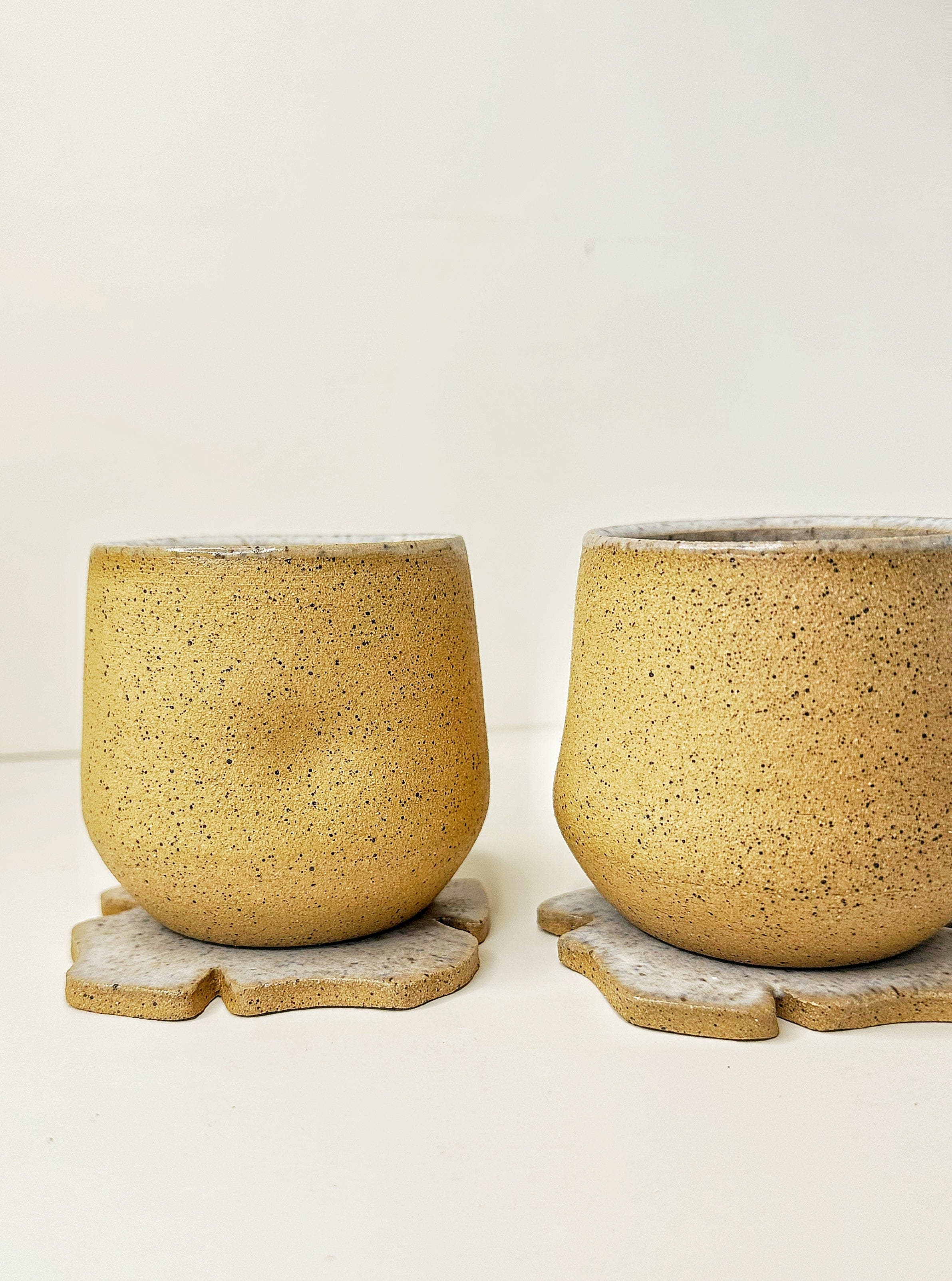 selected Ocean Sand