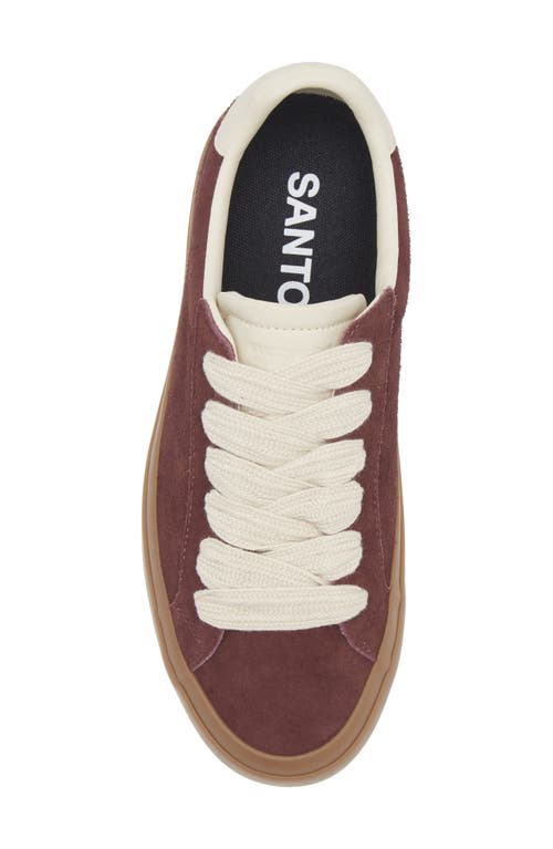 Santo Studio Balboa Low Top Sneaker In Burgundy