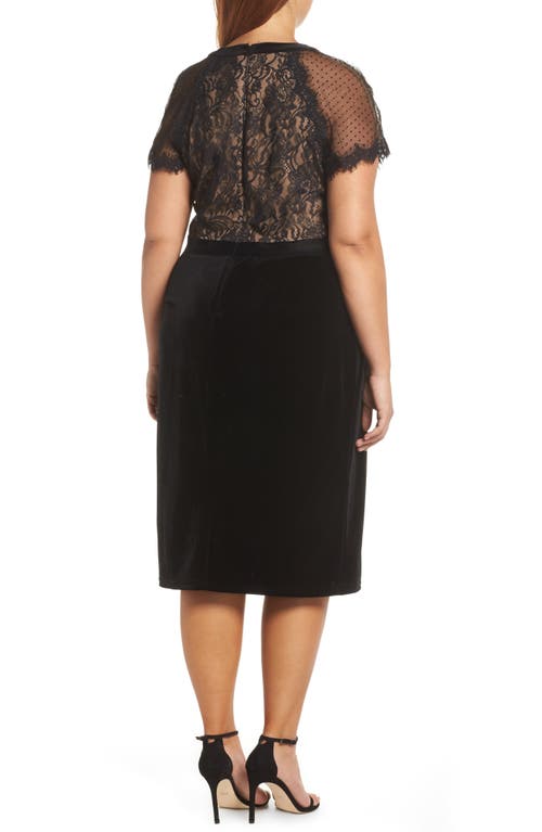 Tadashi Shoji Lace & Velvet Dress In Black