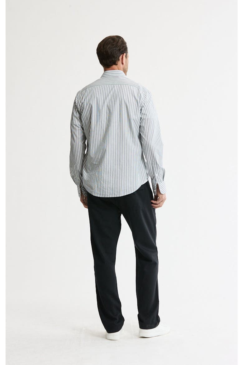 Hayati Cotton Button-Down Shirt, Alternate, color, Grey Stripe