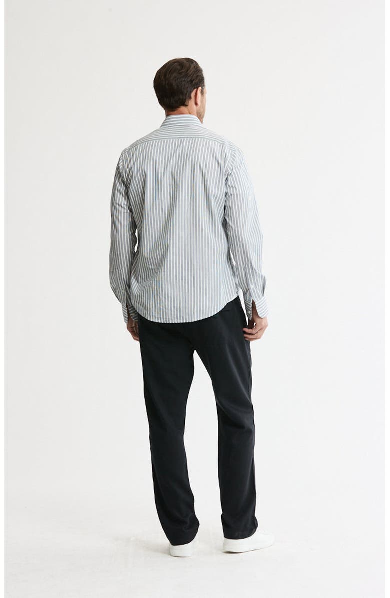 JACHS Hayati Cotton Button-Down Shirt, Alternate, color, Grey Stripe