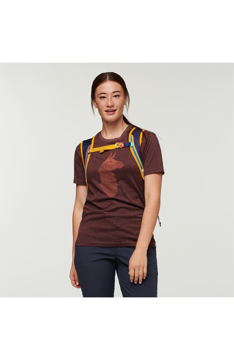 Cotopaxi Batac 16L Daypack - Del Día, Alternate, color, Del Día