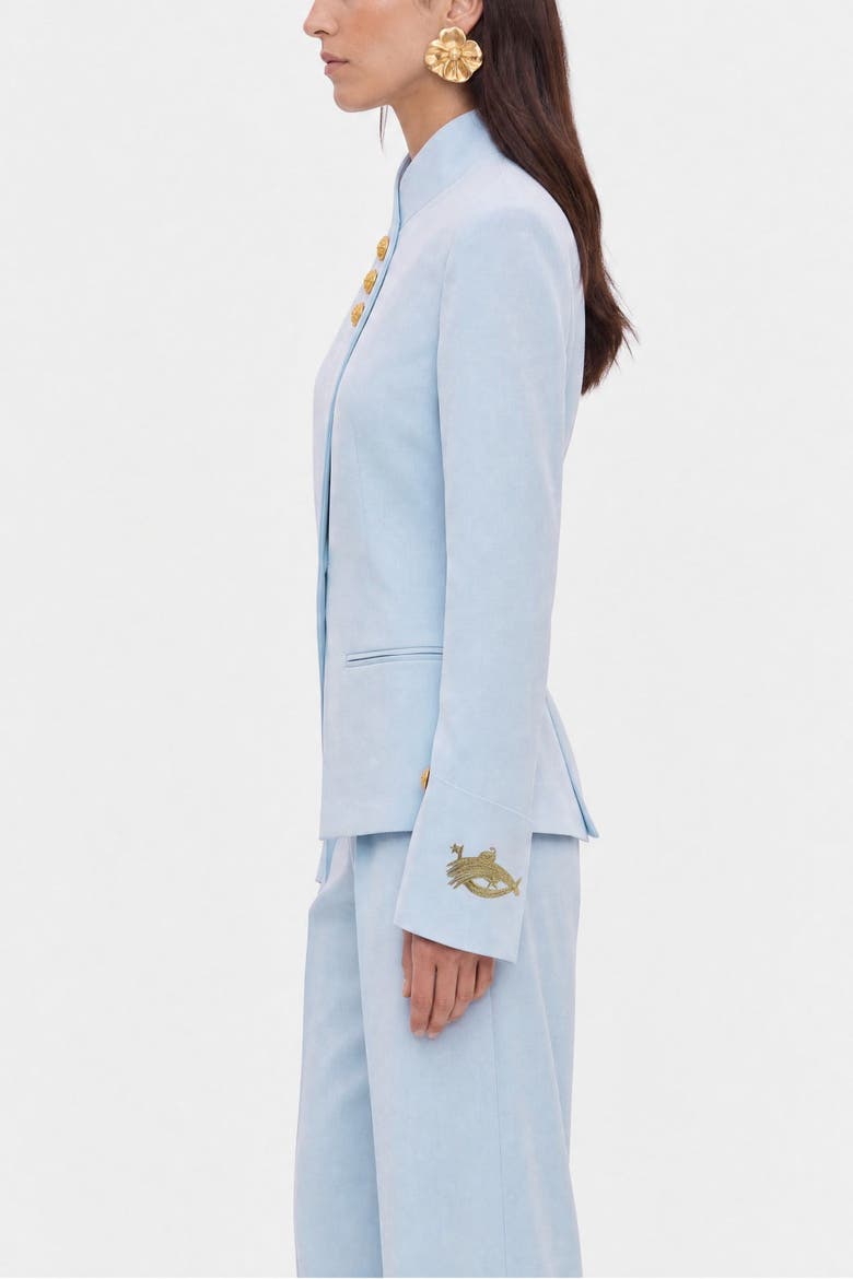 Embroidery Detail Jacket, Alternate, color, Blue