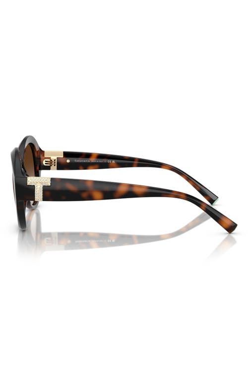 Tiffany & Co . 53mm Gradient Round Sunglasses In Havana