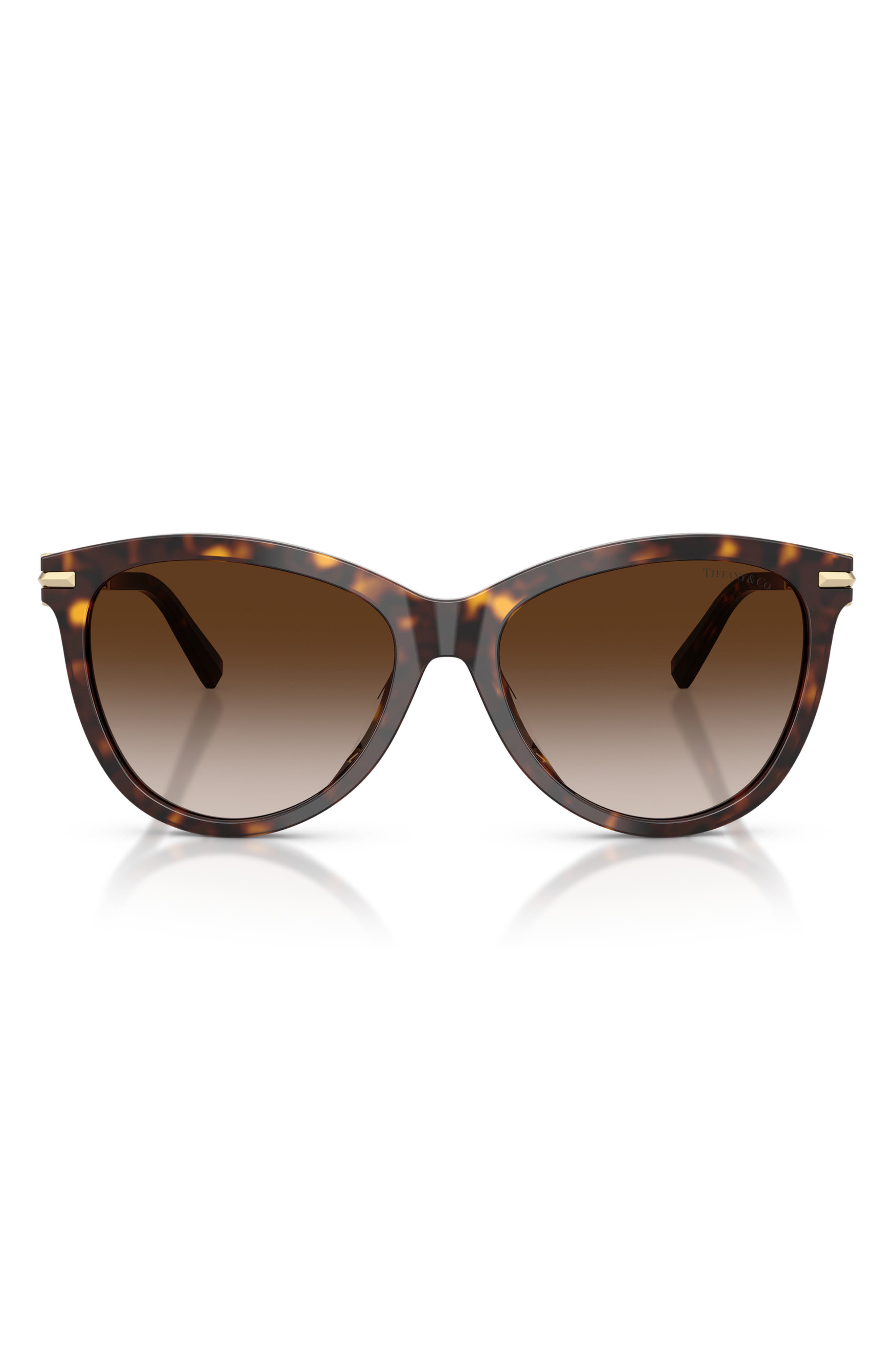 selected HAVANA / BROWN GRADIENT