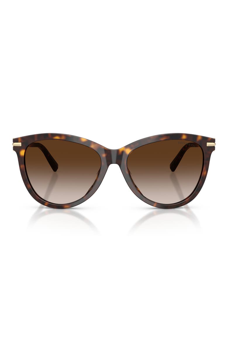57mm Gradient Phantos Sunglasses, Main, color, HAVANA / BROWN GRADIENT