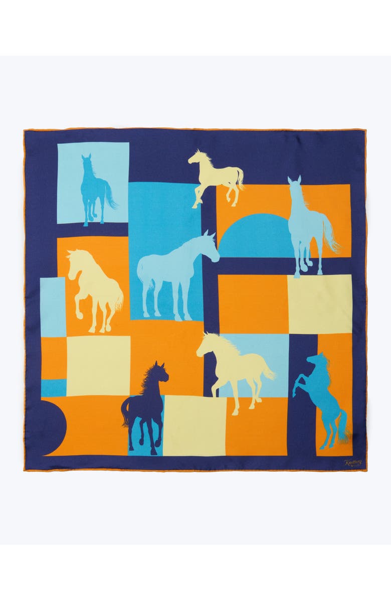 Knottery & Co Cavalier Silk Bandana, Main, color, Navy & Orange
