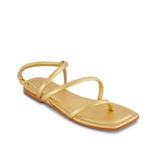 BERNARDO FOOTWEAR BERNARDO FOOTWEAR ODESSA SANDAL 