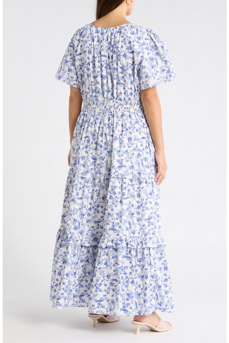 Francine Toile Fabiola Ruffle Maxi Dress, Alternate, color, WHT-BLUES-MULT