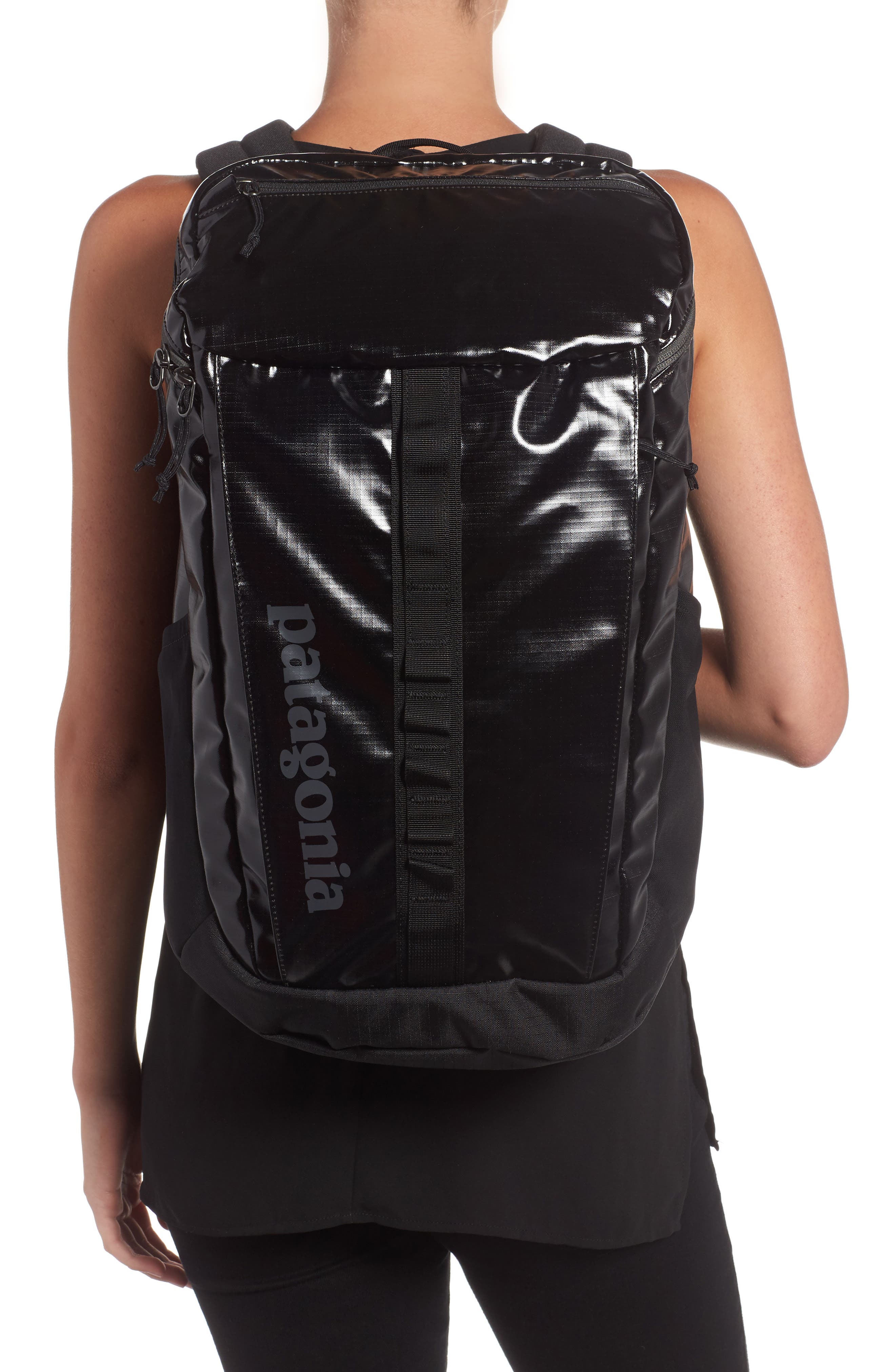 Patagonia Black Hole 25L Backpack, Alternate, color, 