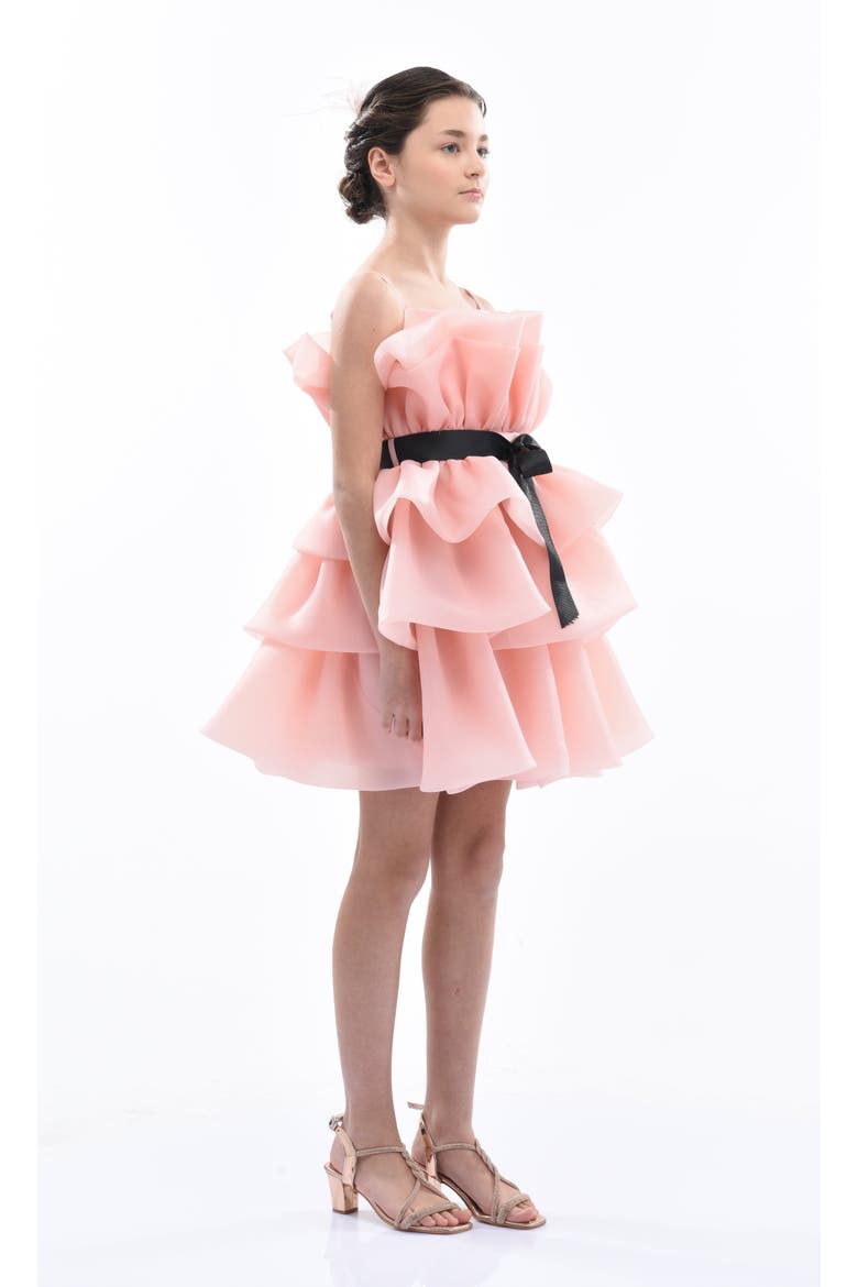 Noella Dress, Alternate, color, Pink