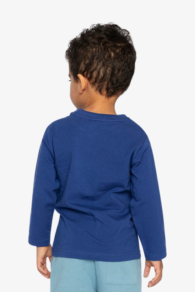 Organic Cotton Crew Neck Penguin Graphic Long Sleeve T-Shirt, Alternate, color, Blue