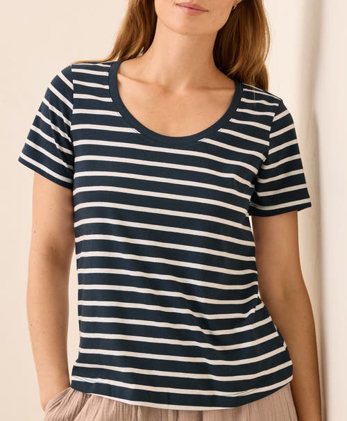 Pact Organic Cotton Softspun Scoop Neck Tee In Black