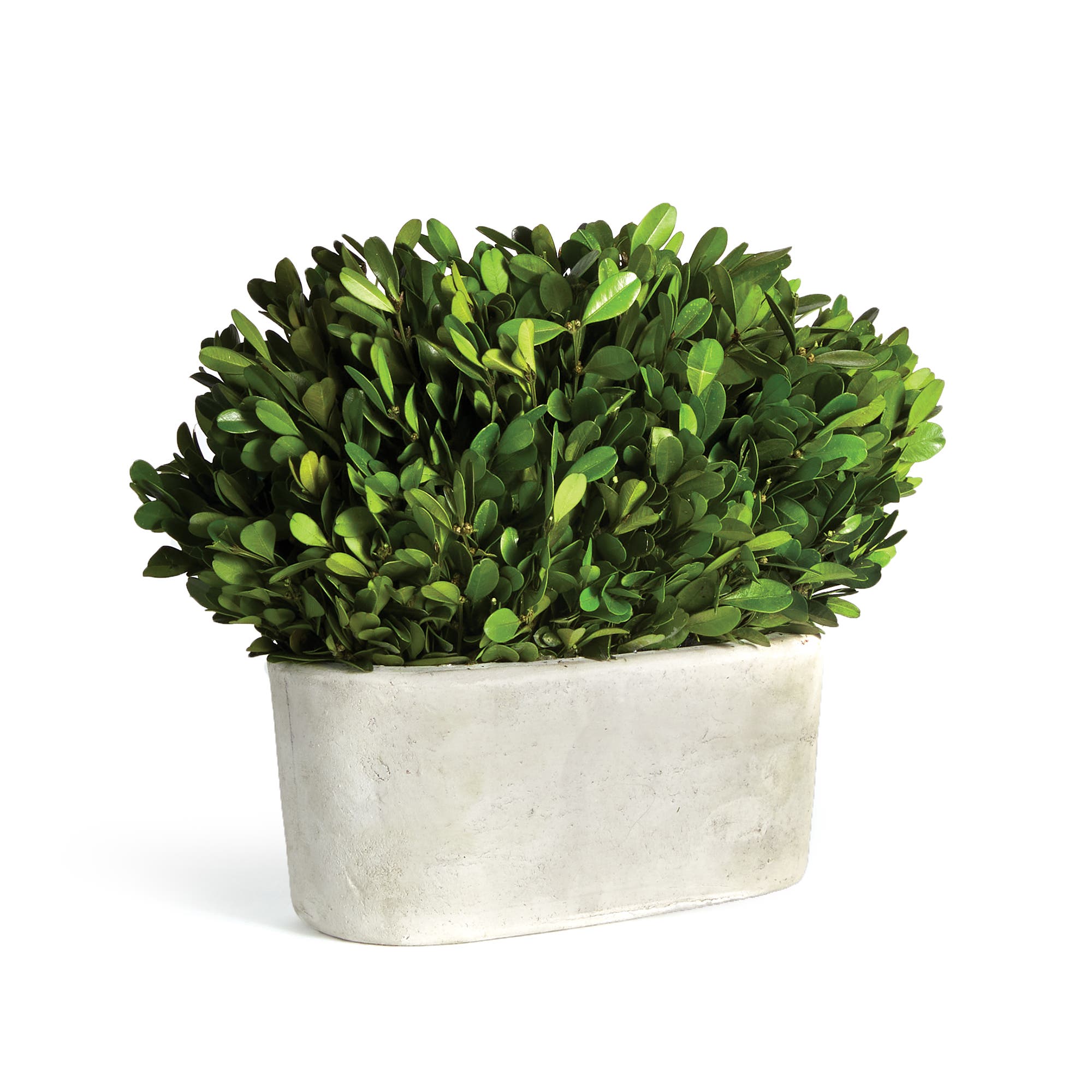 selected Green
