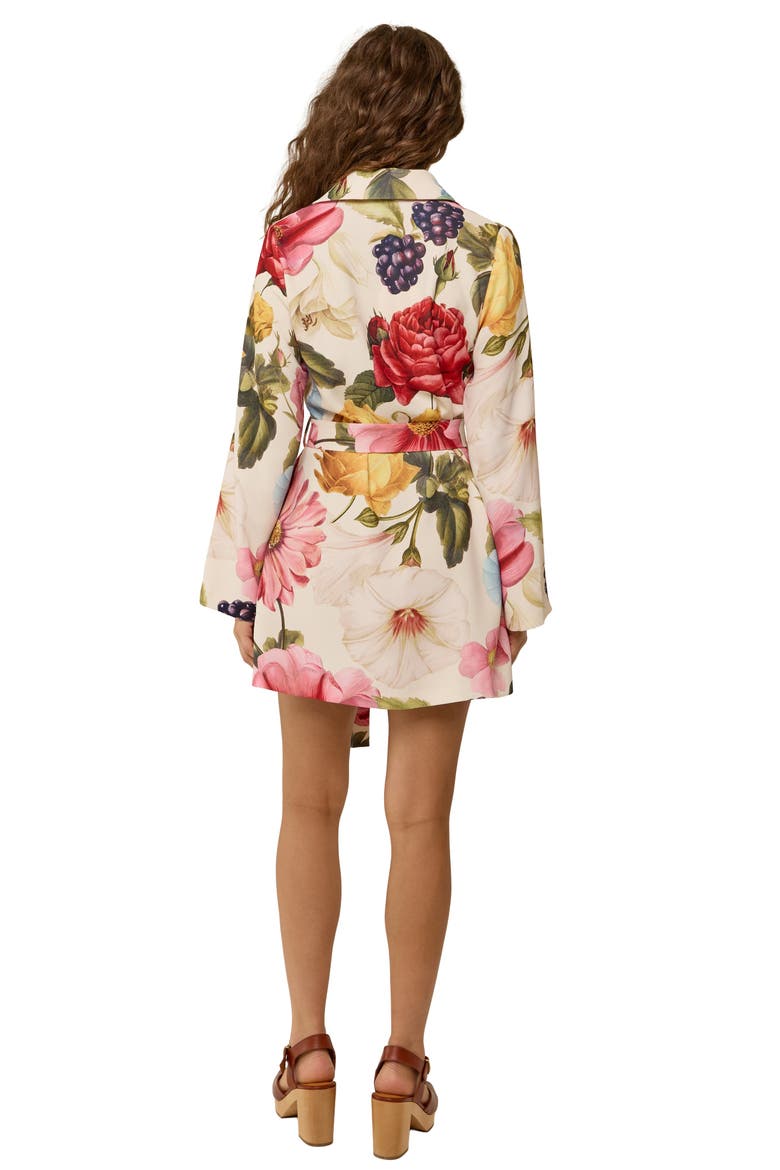 Quieta Mini Dress, Alternate, color, Rosetta