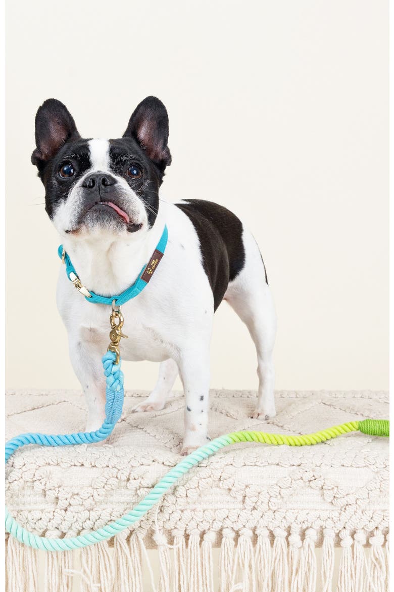 Alexandria Rope Dog Leash, Alternate, color, Alexandria 4ft