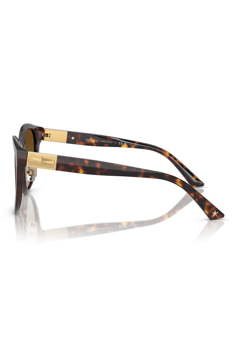 Jimmy Choo 55mm Phantos Sunglasses, Alternate, color, Havana 1