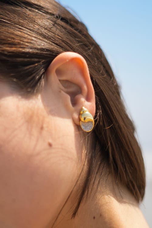 Classicharms Lexi Crystal Seashell Stud Earrings In Gold