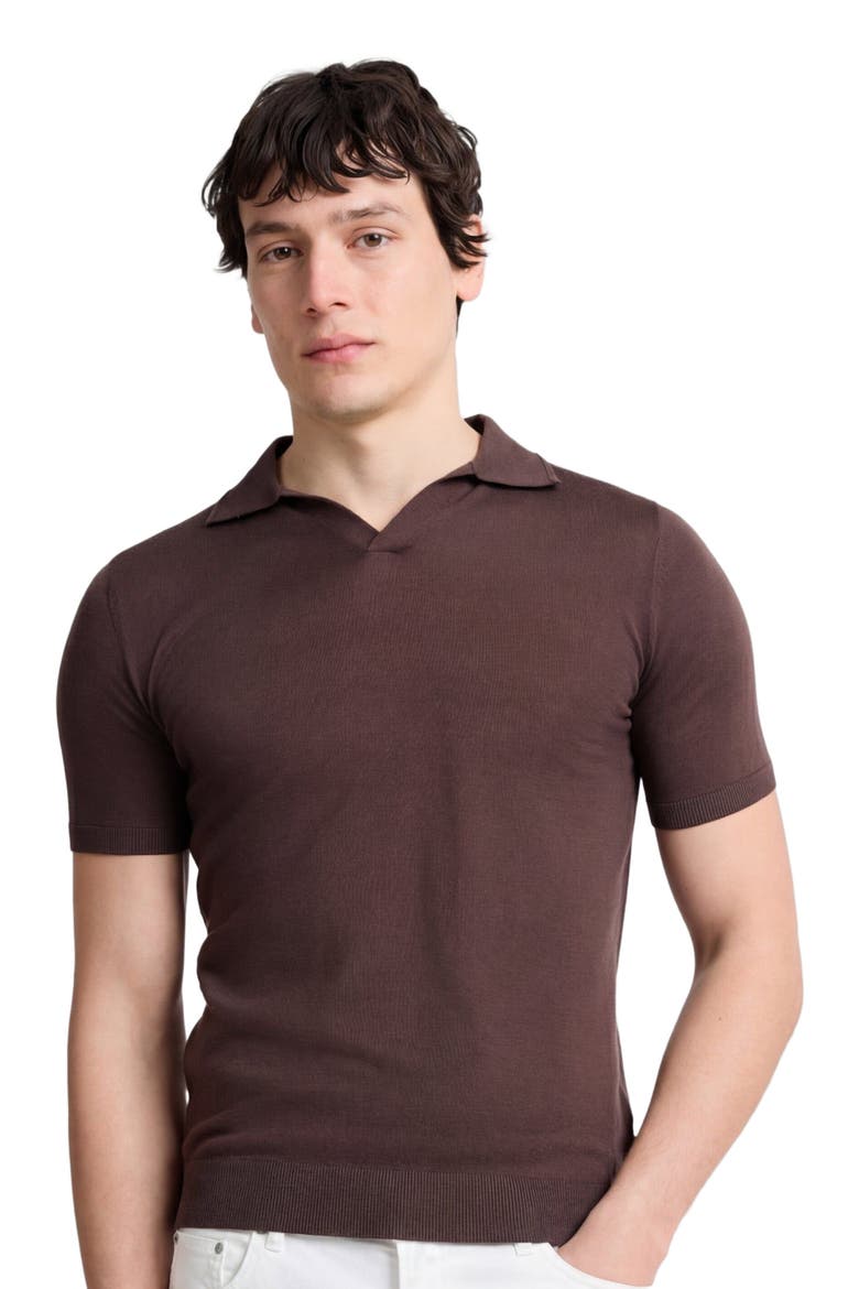 Extra Fine Merino Wool Short Sleeve Johnny Collar Polo, Alternate, color, Espresso