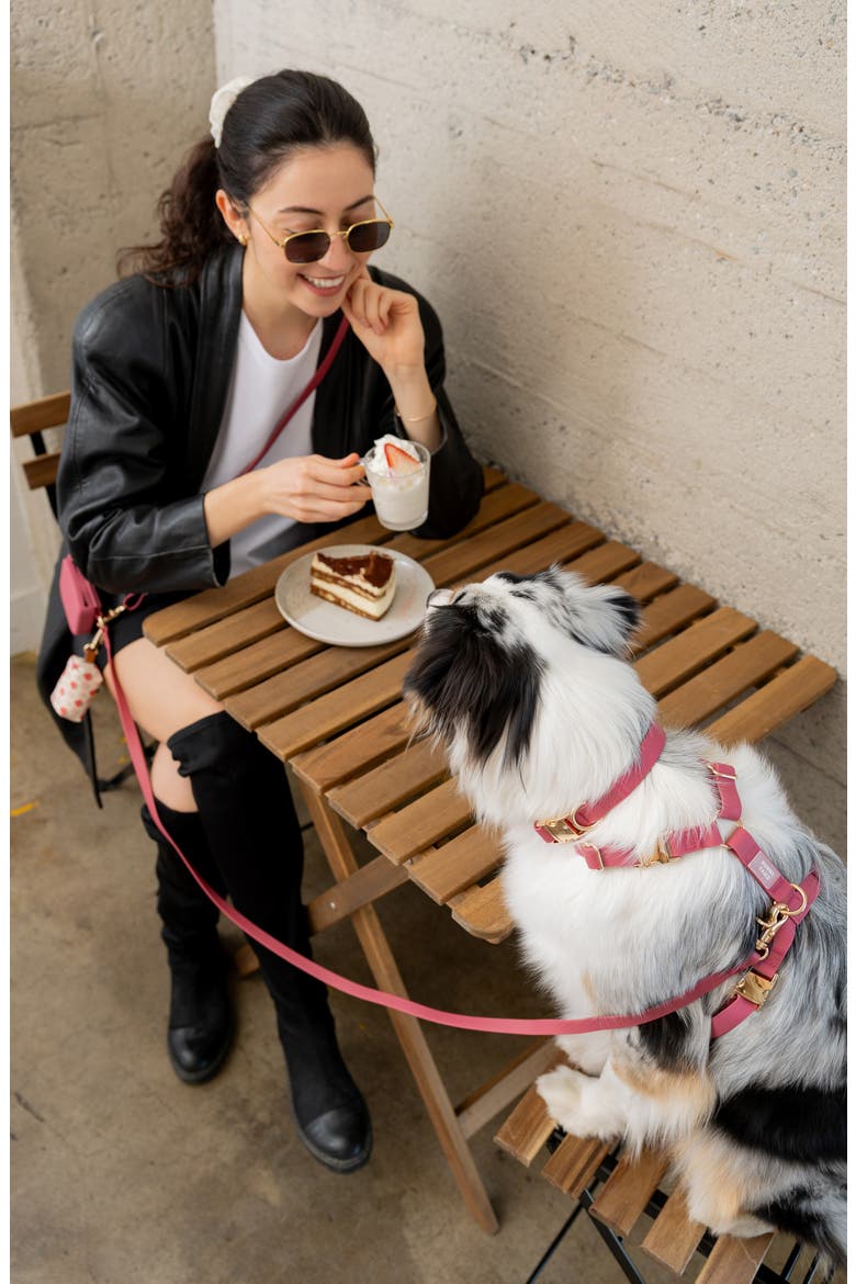 4-in-1 Convertible Hands Free Leash, Alternate, color, MULBERRY BURGUNDY