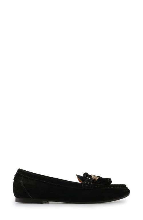 National Comfort Shell Suede Loafer In Black Suede