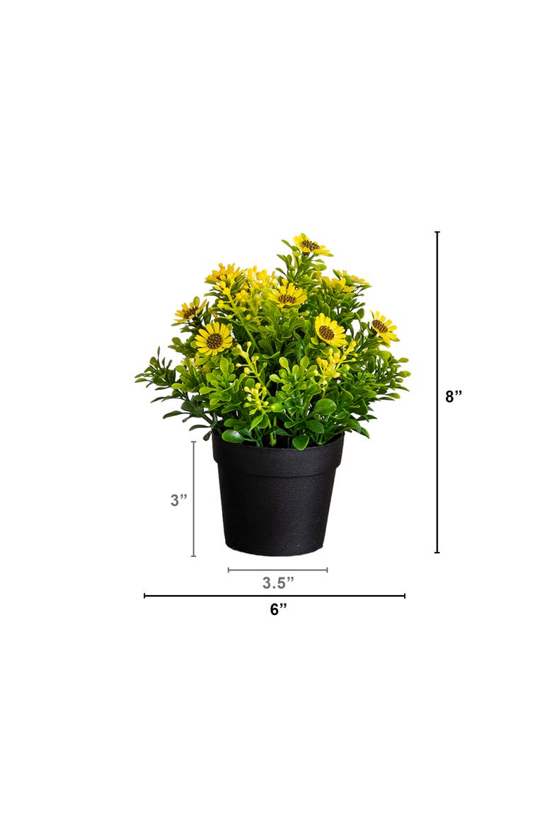 8-in Artificial Flowering Daisy in Black Pot - Set of 3, Alternate, color, Assorted
