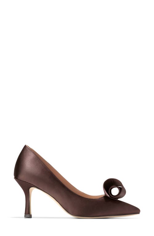 Cole Haan Florette Pointed Toe Pump In Brown