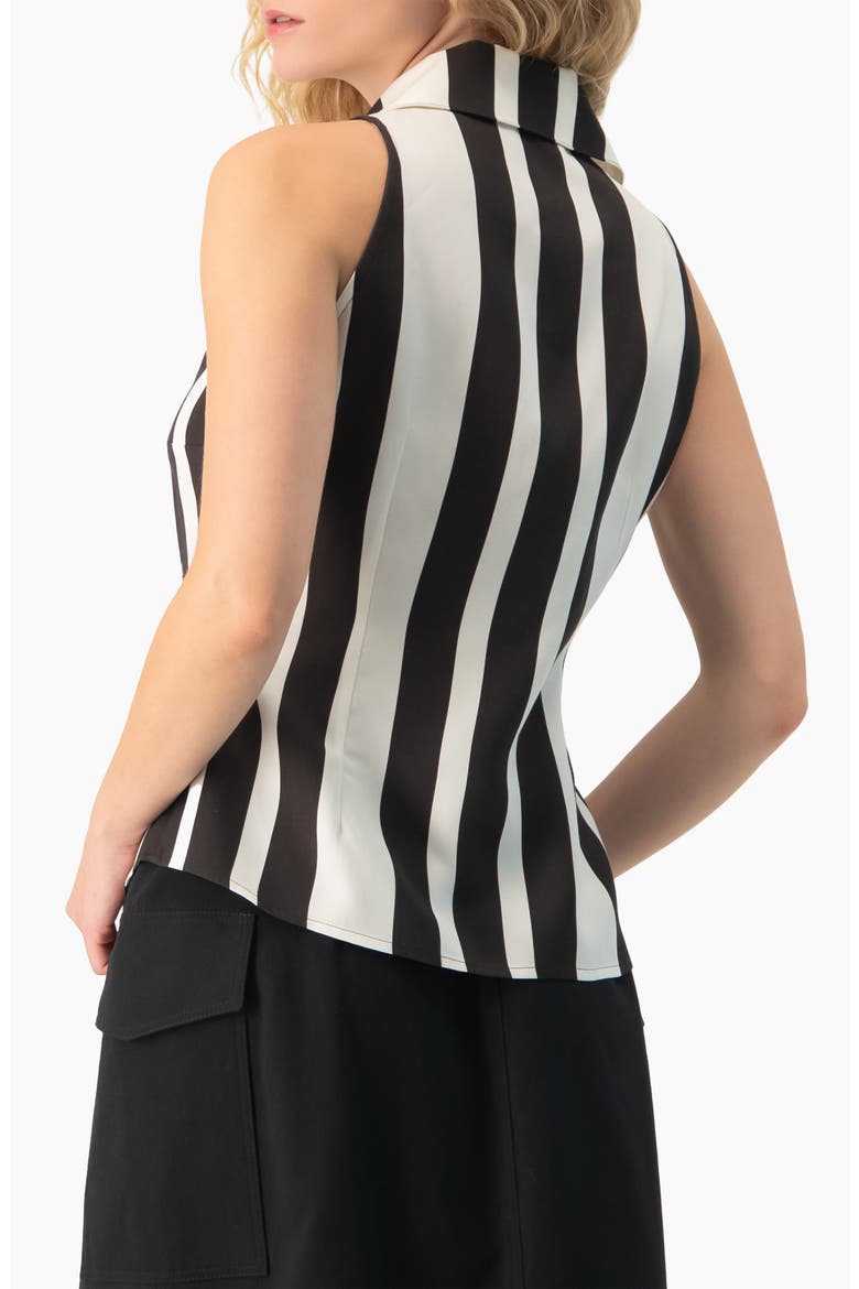 Bold Vertical Stripe Sleeveless Fitted Button-Front Shirt, Alternate, color, Black