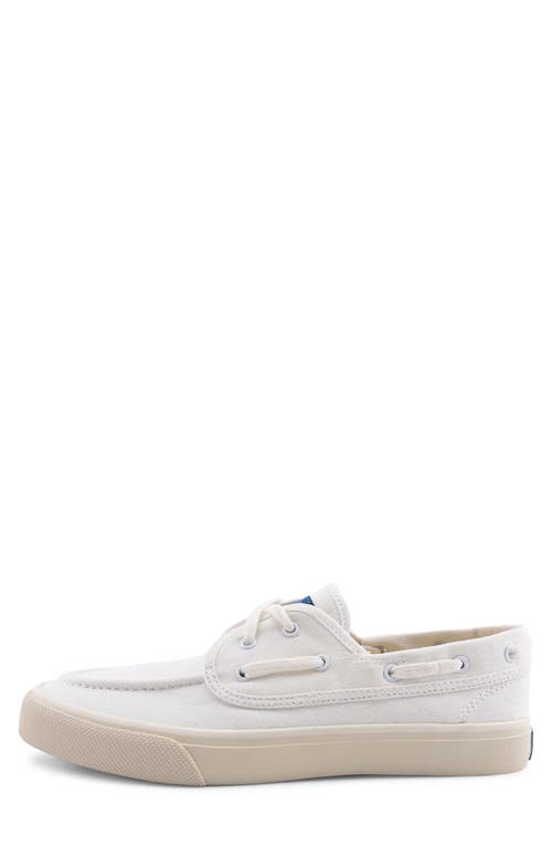 SPERRY TOP-SIDER® SPERRY CLASSIC SEAMATE BOAT SHOE