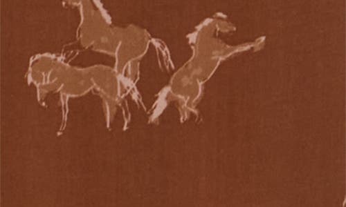 Dr2 By Daniel Rainn Horse Print Flounce Maxi Skirt In Brown