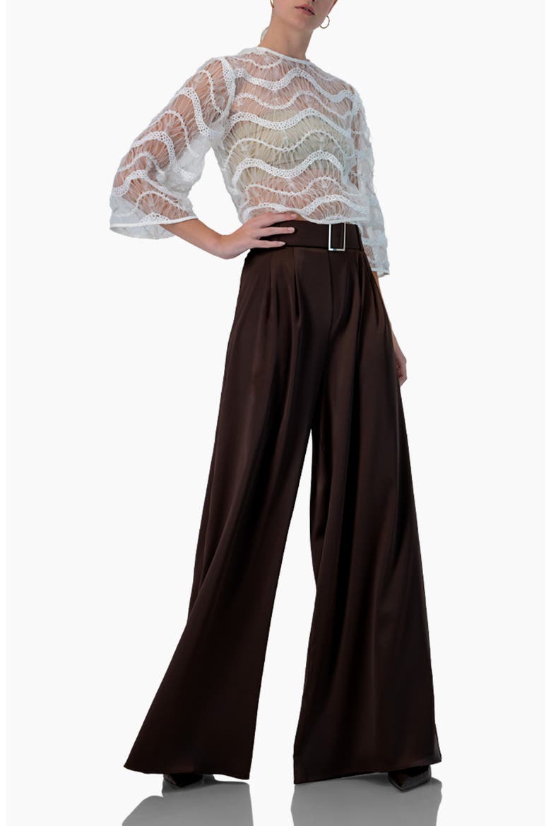 Wide-Leg Satin Trousers, Alternate, color, Brown