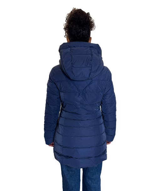 Woodpecker Long Robin Medium Weight Coat In Blue