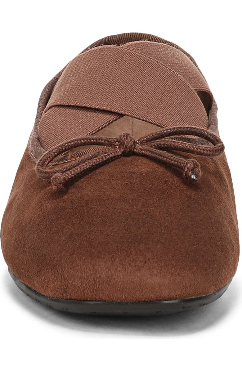 Sam Edelman Arya Ballet Flat, Alternate, color, Dark Terra Toffee
