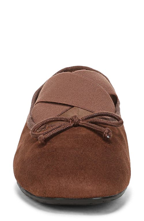 Sam Edelman Arya Ballet Flats In Brown