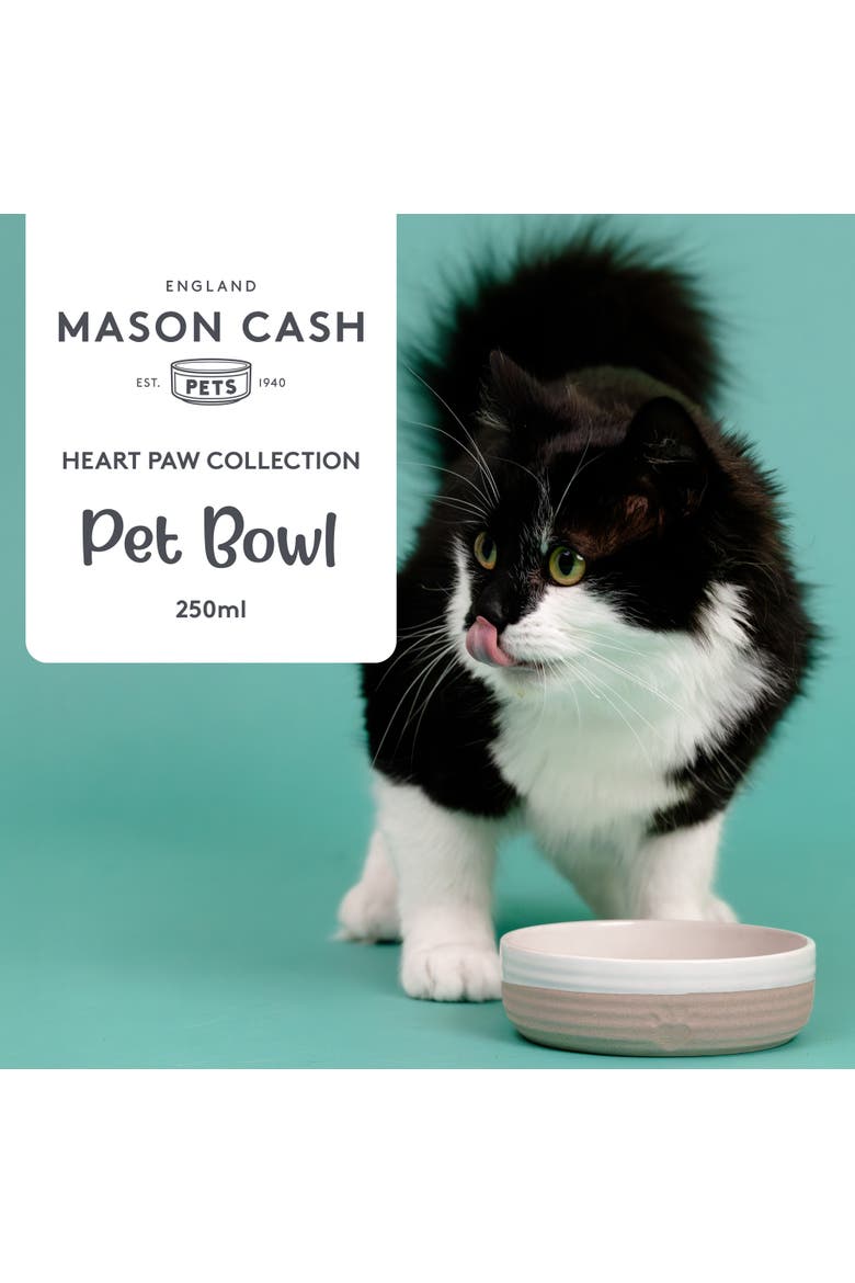 Heart Paw Pet Bowl, 5.1 Inch, 8.4oz, Food Water Dish, Alternate, color, Multicolored