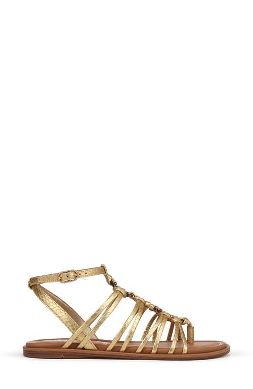 SAM EDELMAN SAM EDELMAN RAYE GLADIATOR SANDAL