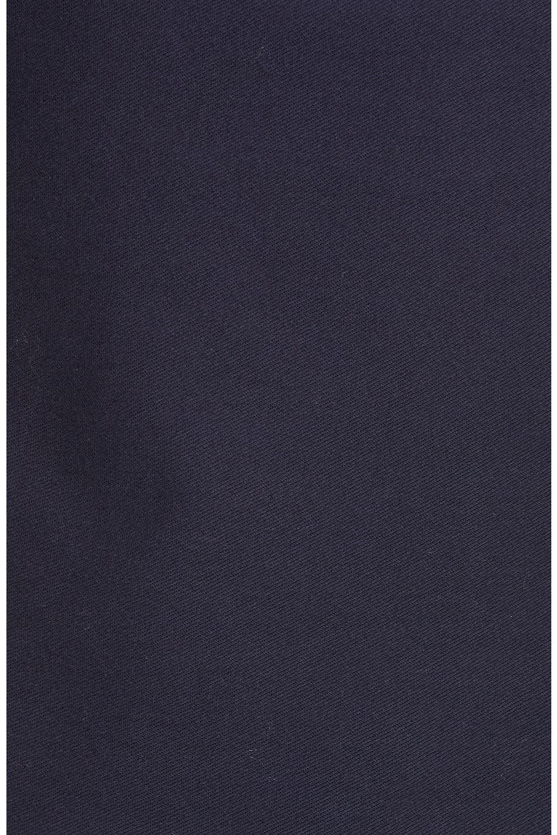 Pal Slim Fit Long Sleeve Henley, Alternate, color, NAVY