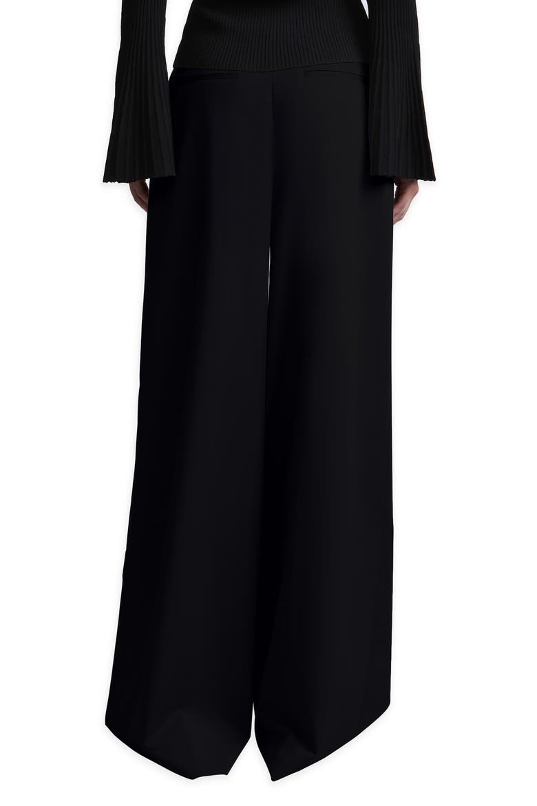 Tina Wide Leg Pleated Pants, Alternate, color, BLACK