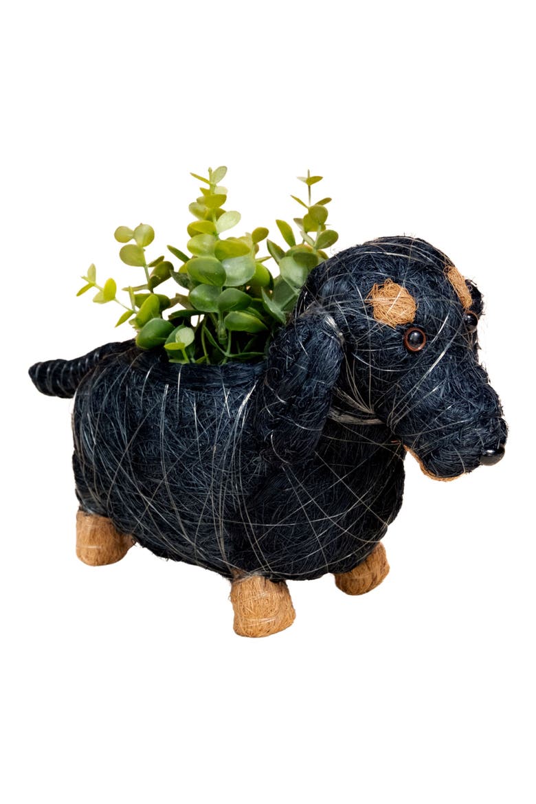 Baby Dachshund Handwoven Planter, Main, color, BLACK / BROWN