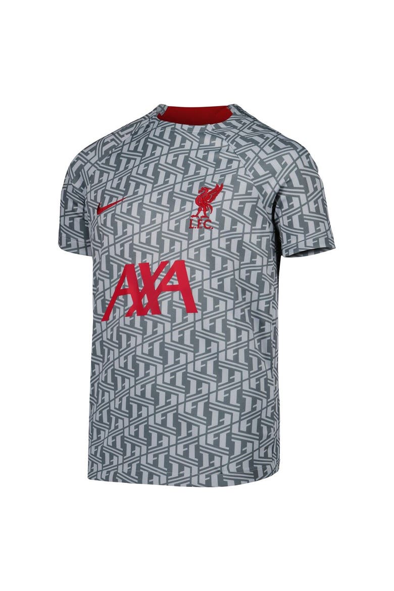 Youth Nike Gray Liverpool Pre-Match Top, Alternate, color, Gray