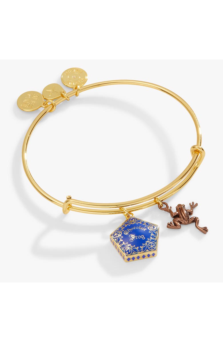 Alex and Ani Harry Potter Chocolate Frog Two-Charm Bangle Bracelet, Main, color, Blue